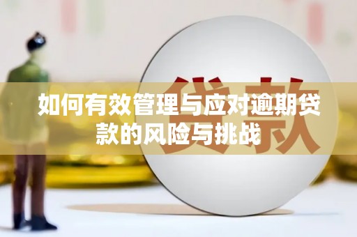 遂昌如何有效管理与应对逾期贷款的风险与挑战