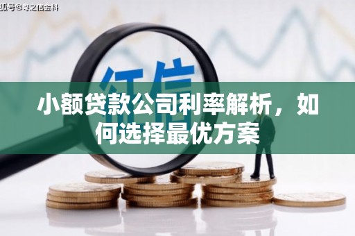 遂昌小额贷款公司利率解析，如何选择最优方案