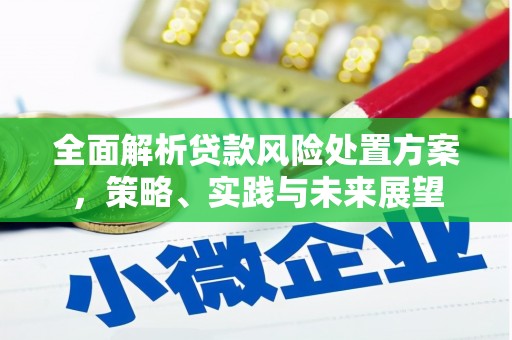 遂昌全面解析贷款风险处置方案，策略、实践与未来展望