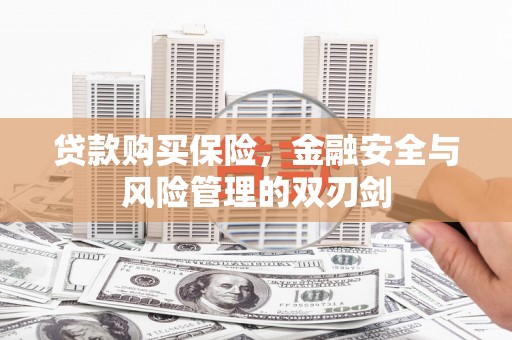 遂昌贷款购买保险，金融安全与风险管理的双刃剑