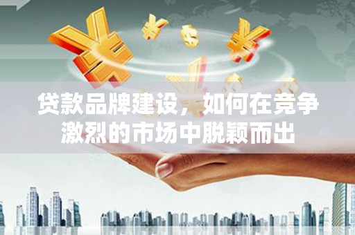 遂昌贷款品牌建设，如何在竞争激烈的市场中脱颖而出