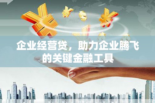遂昌企业经营贷，助力企业腾飞的关键金融工具