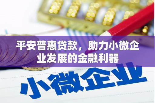 遂昌平安普惠贷款，助力小微企业发展的金融利器