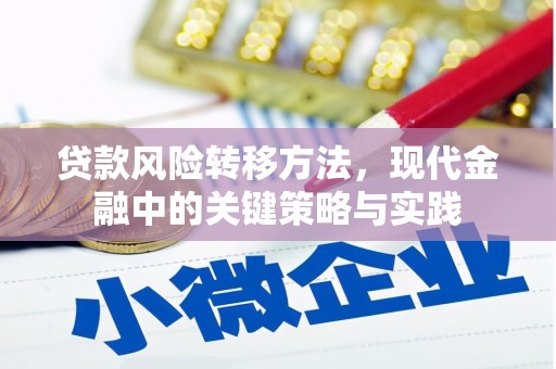 遂昌贷款风险转移方法，现代金融中的关键策略与实践