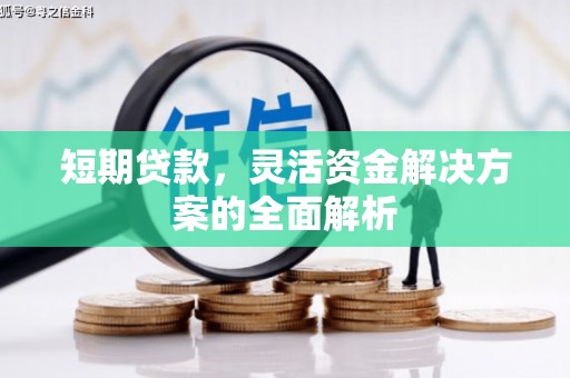 遂昌短期贷款，灵活资金解决方案的全面解析