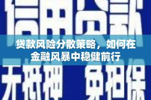 遂昌贷款风险分散策略，如何在金融风暴中稳健前行