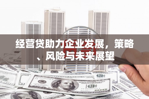 遂昌经营贷助力企业发展，策略、风险与未来展望