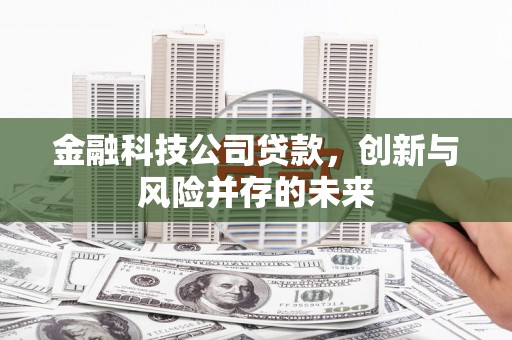 遂昌金融科技公司贷款，创新与风险并存的未来