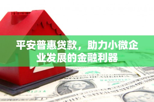 遂昌平安普惠贷款，助力小微企业发展的金融利器