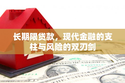 遂昌长期限贷款，现代金融的支柱与风险的双刃剑