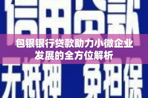 遂昌包银银行贷款助力小微企业发展的全方位解析