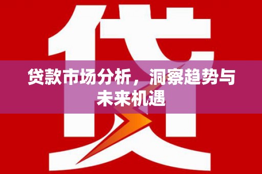 遂昌贷款市场分析，洞察趋势与未来机遇