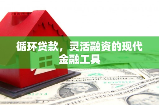 遂昌循环贷款，灵活融资的现代金融工具