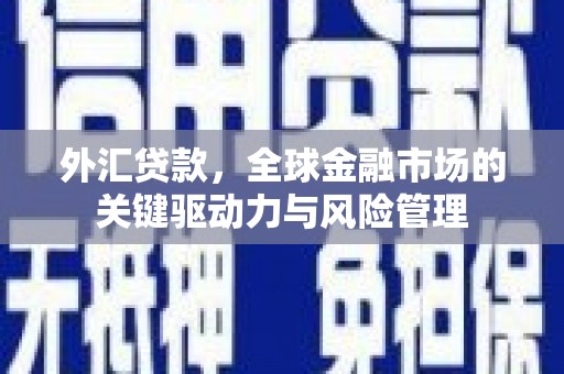 遂昌外汇贷款，全球金融市场的关键驱动力与风险管理