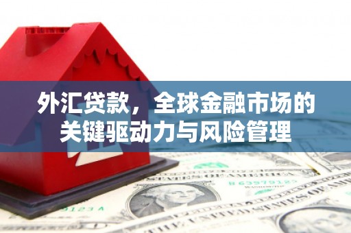 遂昌外汇贷款，全球金融市场的关键驱动力与风险管理
