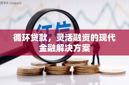 遂昌循环贷款，灵活融资的现代金融解决方案