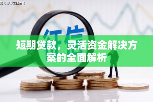 遂昌短期贷款，灵活资金解决方案的全面解析