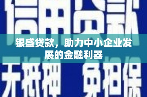 遂昌银盛贷款，助力中小企业发展的金融利器