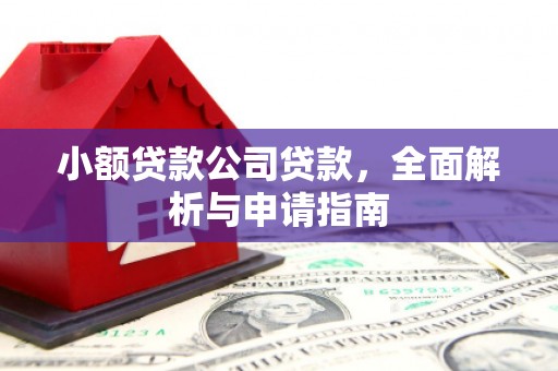 遂昌小额贷款公司贷款，全面解析与申请指南