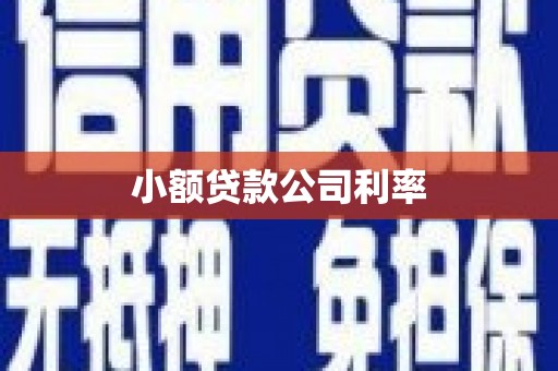 遂昌小额贷款公司利率