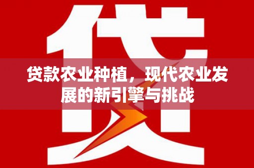遂昌贷款农业种植，现代农业发展的新引擎与挑战