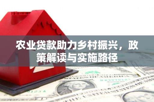 遂昌农业贷款助力乡村振兴，政策解读与实施路径