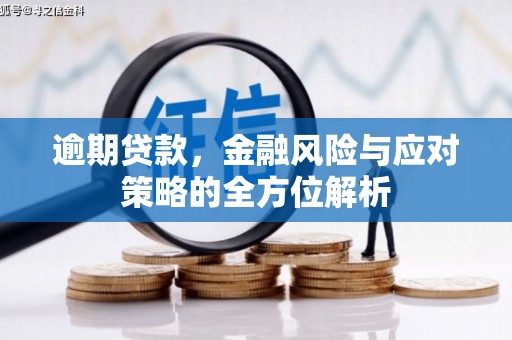 遂昌逾期贷款，金融风险与应对策略的全方位解析