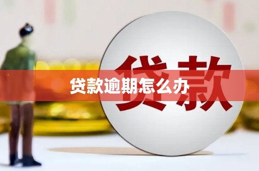 遂昌贷款逾期怎么办