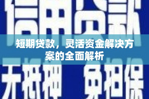 遂昌短期贷款，灵活资金解决方案的全面解析