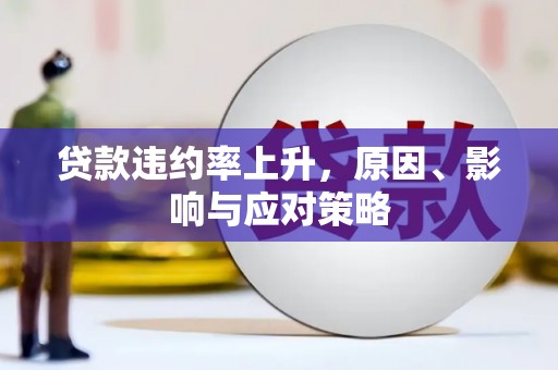 遂昌贷款违约率上升，原因、影响与应对策略