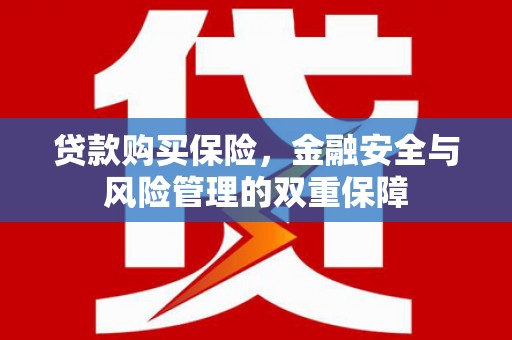 遂昌贷款购买保险，金融安全与风险管理的双重保障