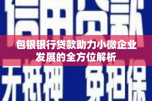 遂昌包银银行贷款助力小微企业发展的全方位解析