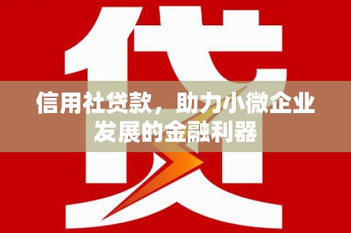 遂昌信用社贷款，助力小微企业发展的金融利器