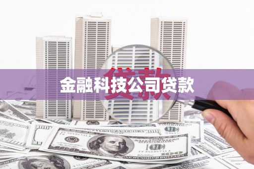 遂昌金融科技公司贷款