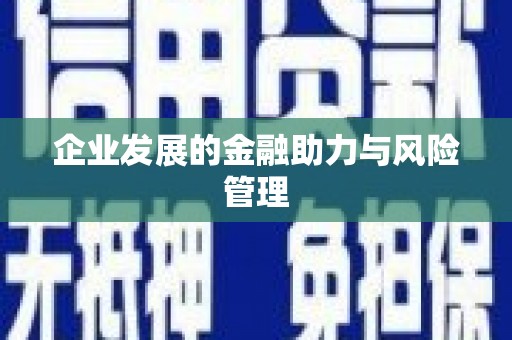 遂昌企业发展的金融助力与风险管理