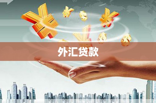 遂昌外汇贷款