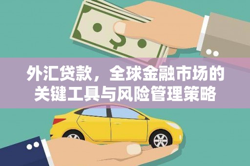 遂昌外汇贷款，全球金融市场的关键工具与风险管理策略