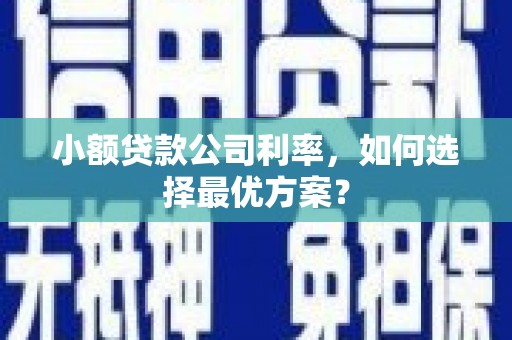 遂昌小额贷款公司利率，如何选择最优方案？