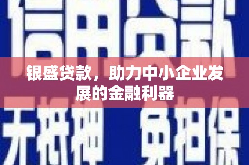 遂昌银盛贷款，助力中小企业发展的金融利器