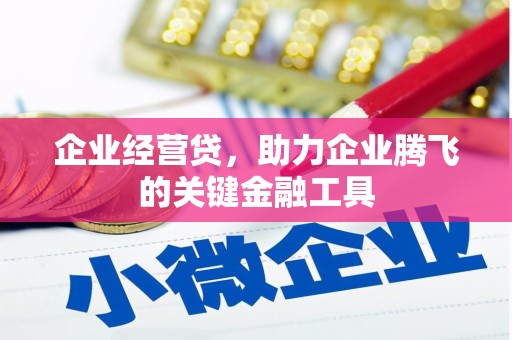 遂昌企业经营贷，助力企业腾飞的关键金融工具