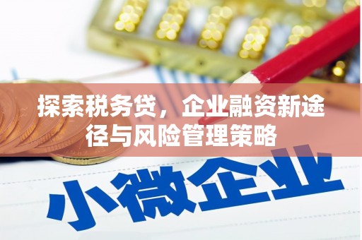 遂昌探索税务贷，企业融资新途径与风险管理策略