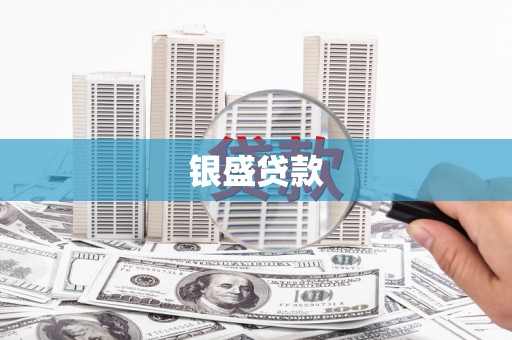 遂昌银盛贷款