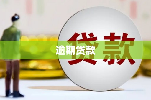 遂昌逾期贷款