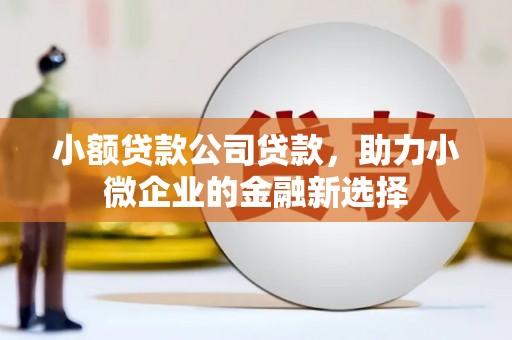 遂昌小额贷款公司贷款，助力小微企业的金融新选择