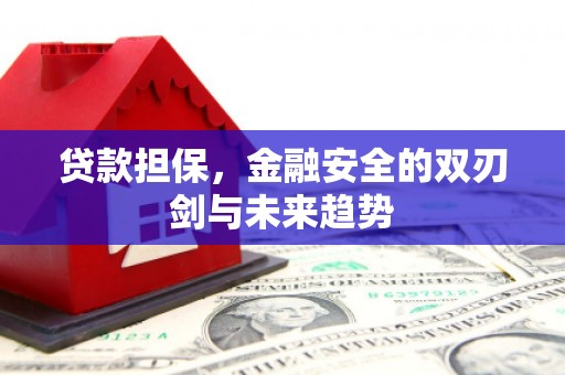 遂昌贷款担保，金融安全的双刃剑与未来趋势