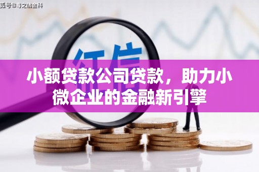 遂昌小额贷款公司贷款，助力小微企业的金融新引擎