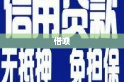 遂昌借呗