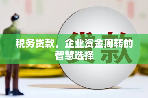 遂昌税务贷款，企业资金周转的智慧选择