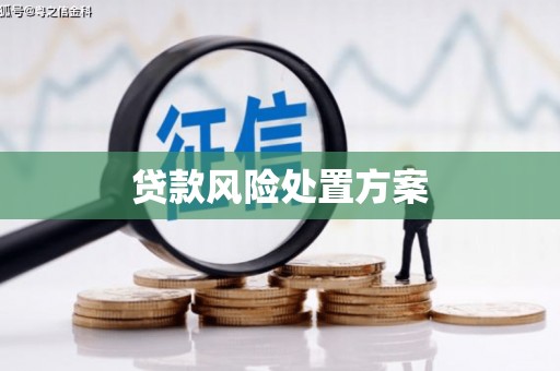遂昌贷款风险处置方案