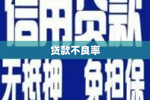 遂昌贷款不良率